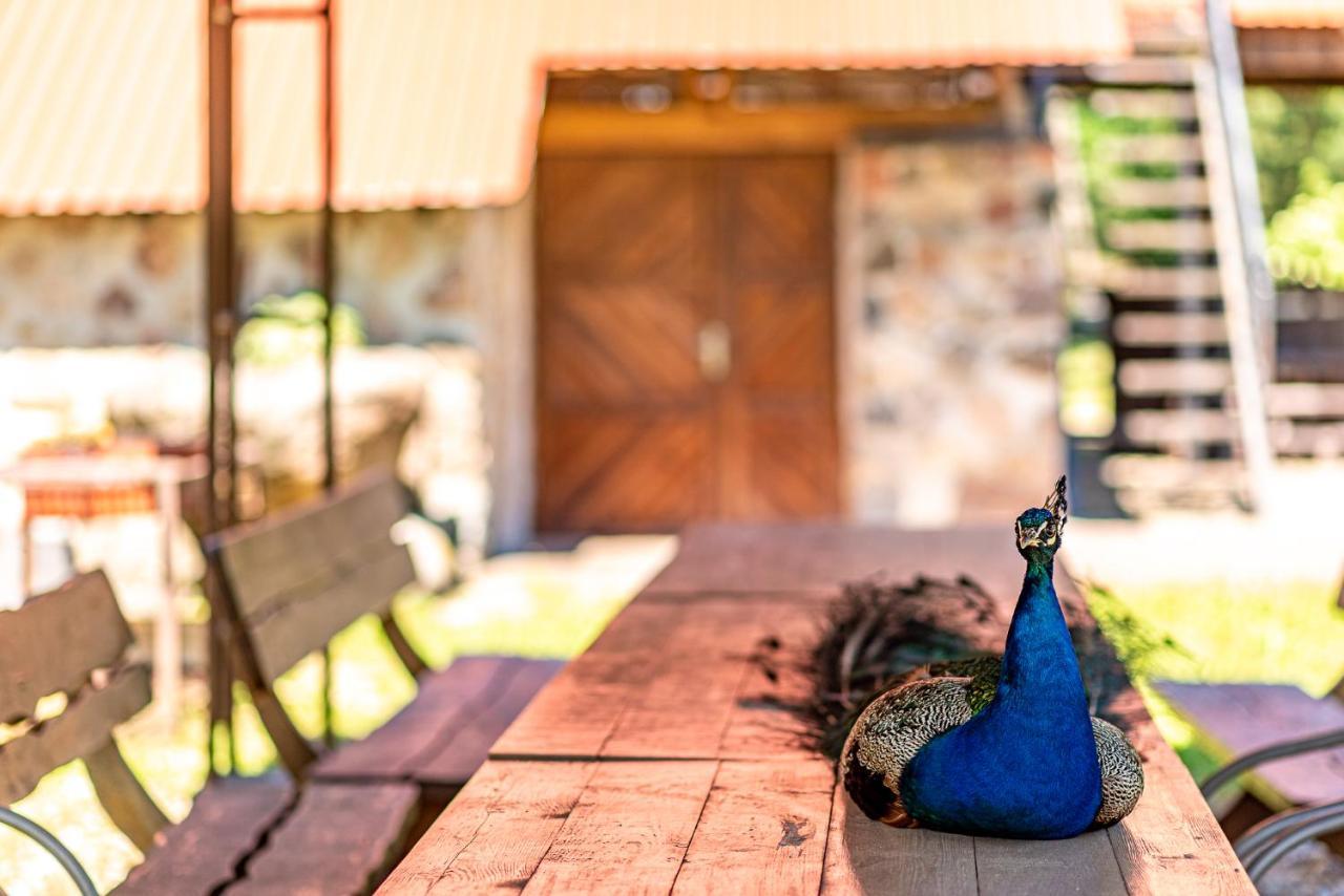 Taujenu Dvaro Sveciu Namai Towiany Exterior foto