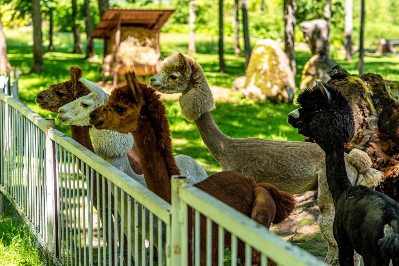 Taujenu Dvaro Sveciu Namai Towiany Exterior foto